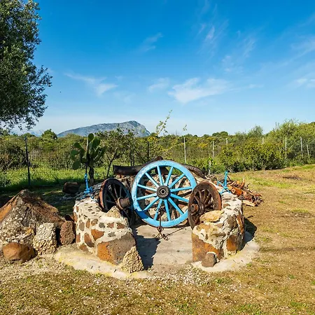 Pedra E Sole